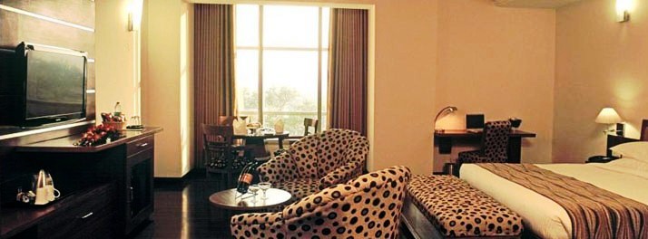 1141/Hotel Royal Park - Baddi 08.jpg